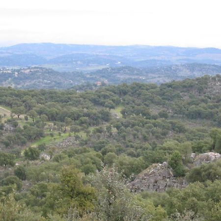 Rustica Para Ferias Mirandela Dış mekan fotoğraf